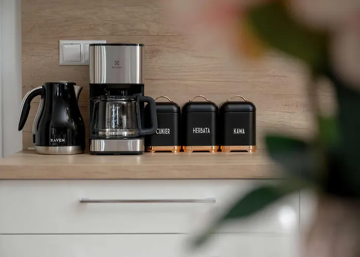 דירה Stylish Located In The Old Town Close To Attractions By Renters ורוצלב